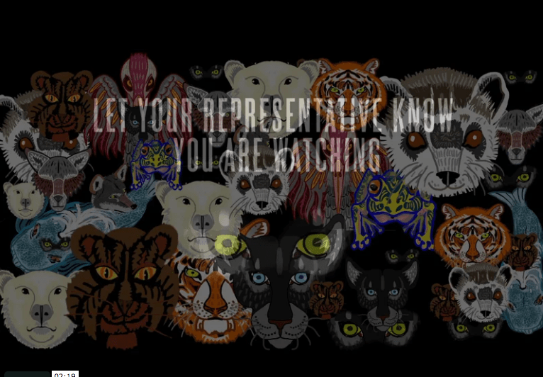 Global Climate Strike